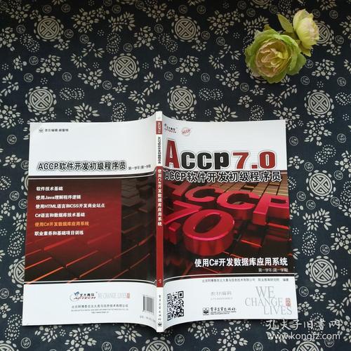 C语言构建数据库应用系统 从零开始的实践指南